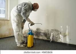 Why You Should Choose Our Mold Remediation Services in Yorkshire, VA